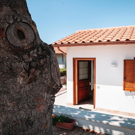 Magnolia Rooms Civitavecchia Exterior foto