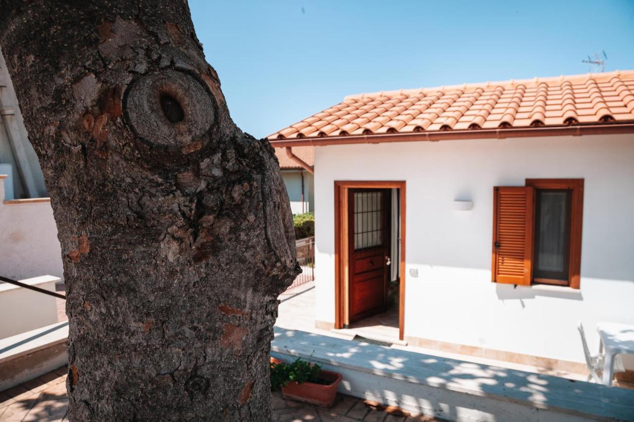 Magnolia Rooms Civitavecchia Exterior foto